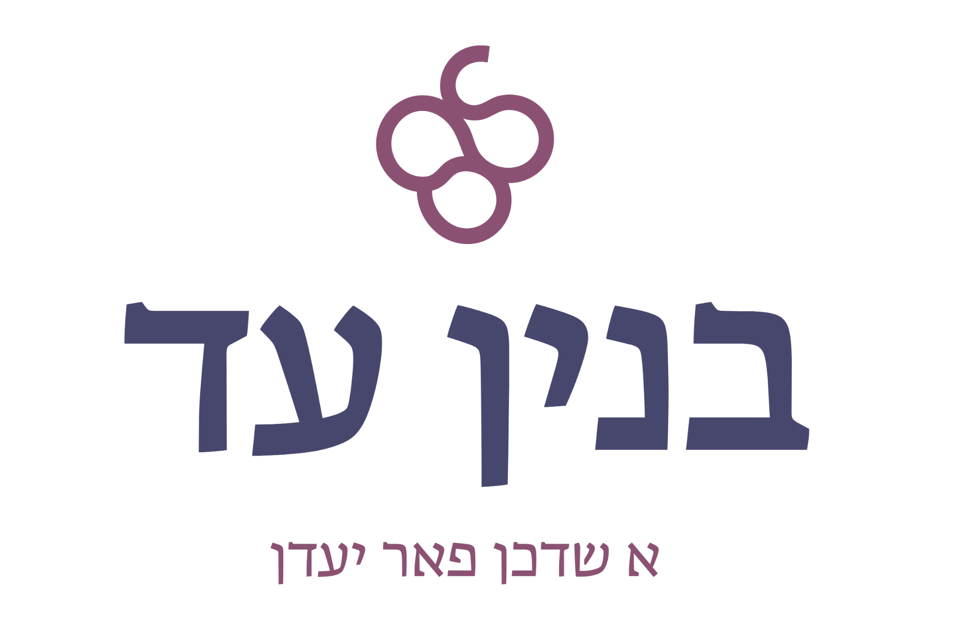 בנין עד — BINYANAD